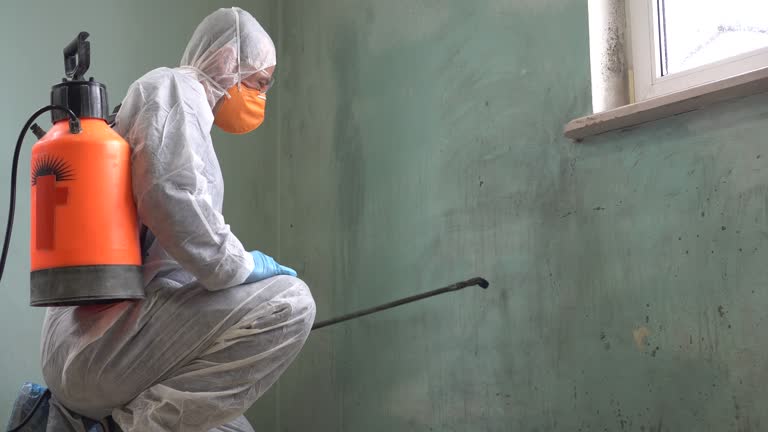 Why You Should Choose Our Mold Remediation Services in Slater, MO